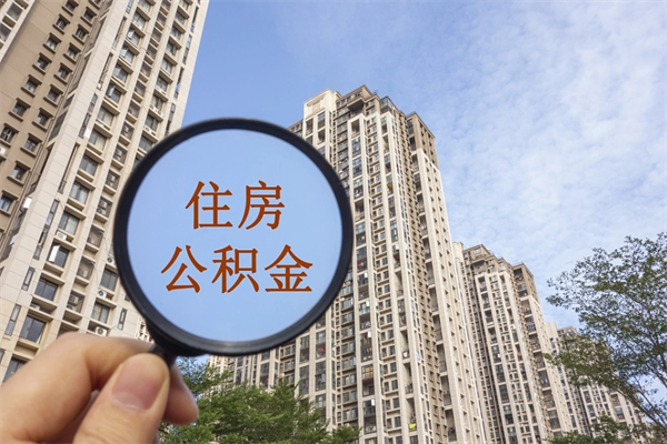 黑龙江离职多久可以取住房公积金(离职多久后能取公积金) 黑龙江离职多久可以取住房公积金(离职多久后能取公积金)